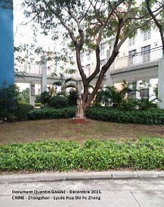 Zhongshan 031- Ensemble